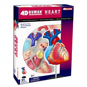 4Д-пазл «Сердце»